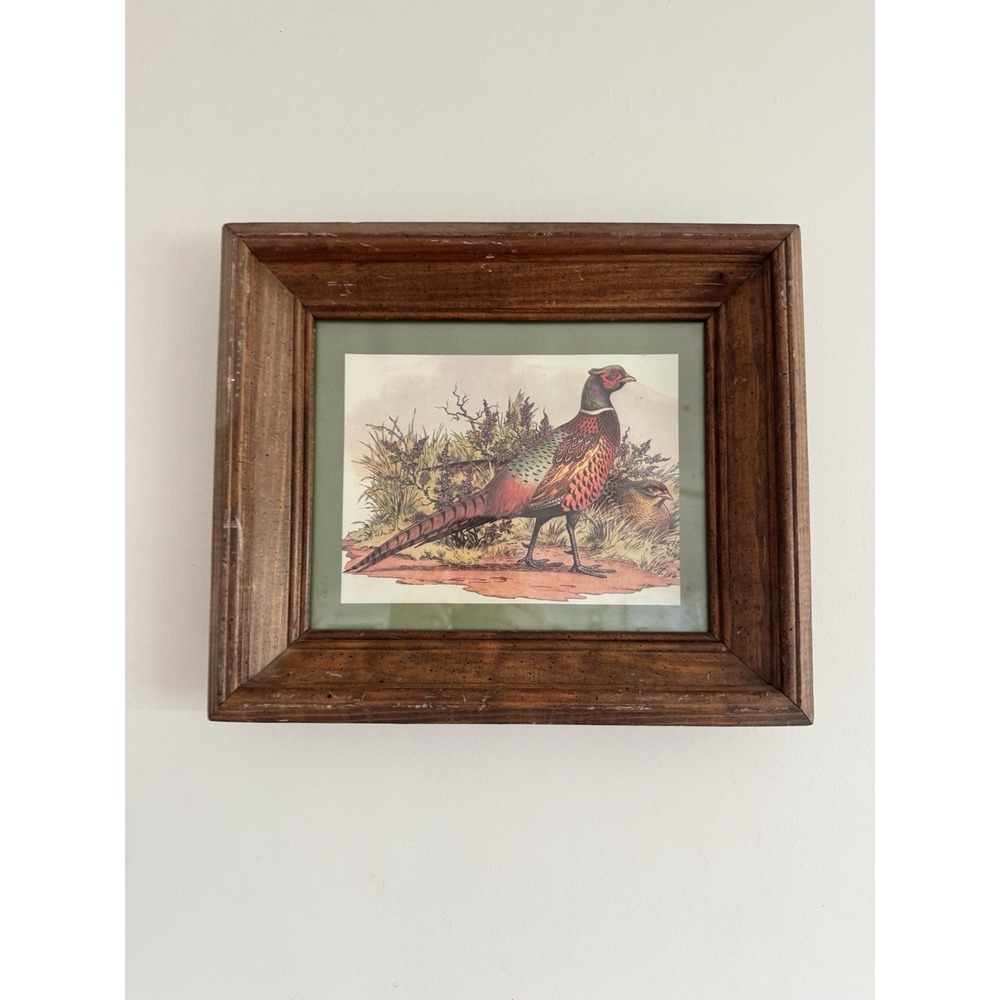Vintage Framed Nature Pheasant Print Cottage English Wood Antique